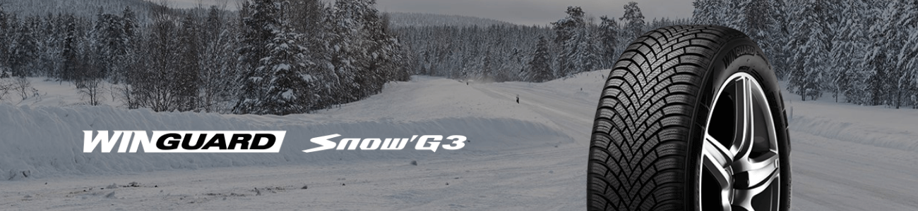 Nexen WinGuard Snow'G WH2 Kış Lastiği