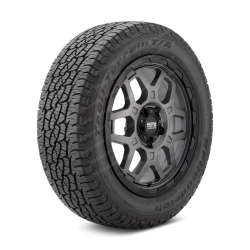 Trail-Terrain T/A