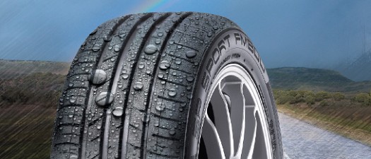 Dunlop SP Sport FM800 205/55R16 91V