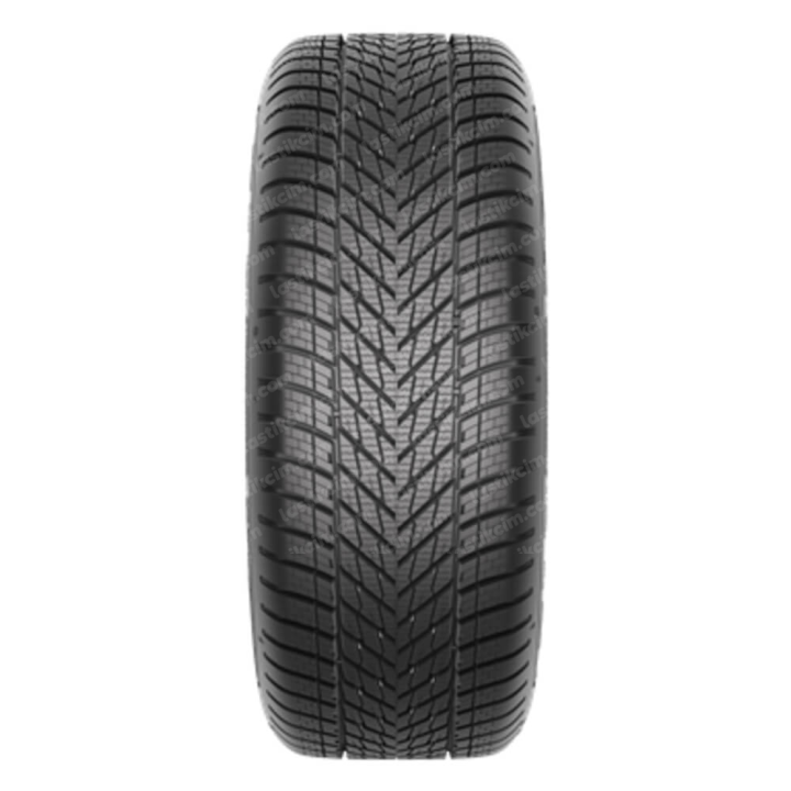 Goodyear WinterCommand 215/55R17 98V XL M+S 3PMSF EV Kış lastiği